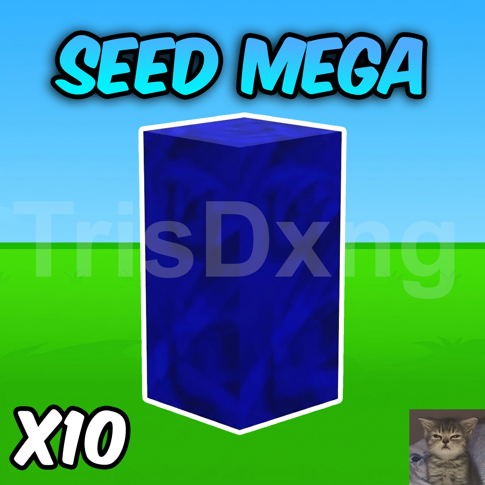 ACC 100% CÓ 10 HẠT MEGA